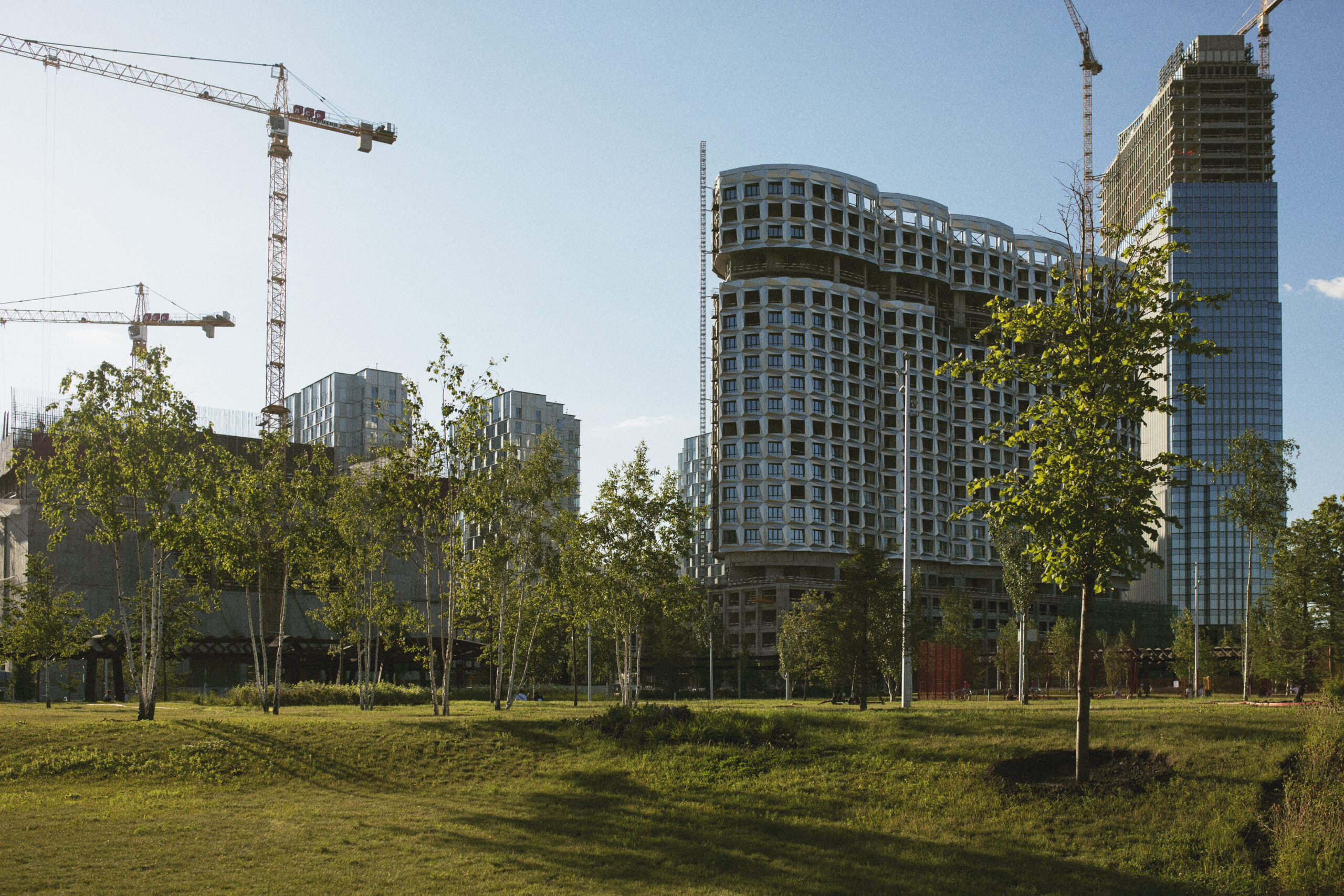 Case Study 1: Commercial Construction Firm